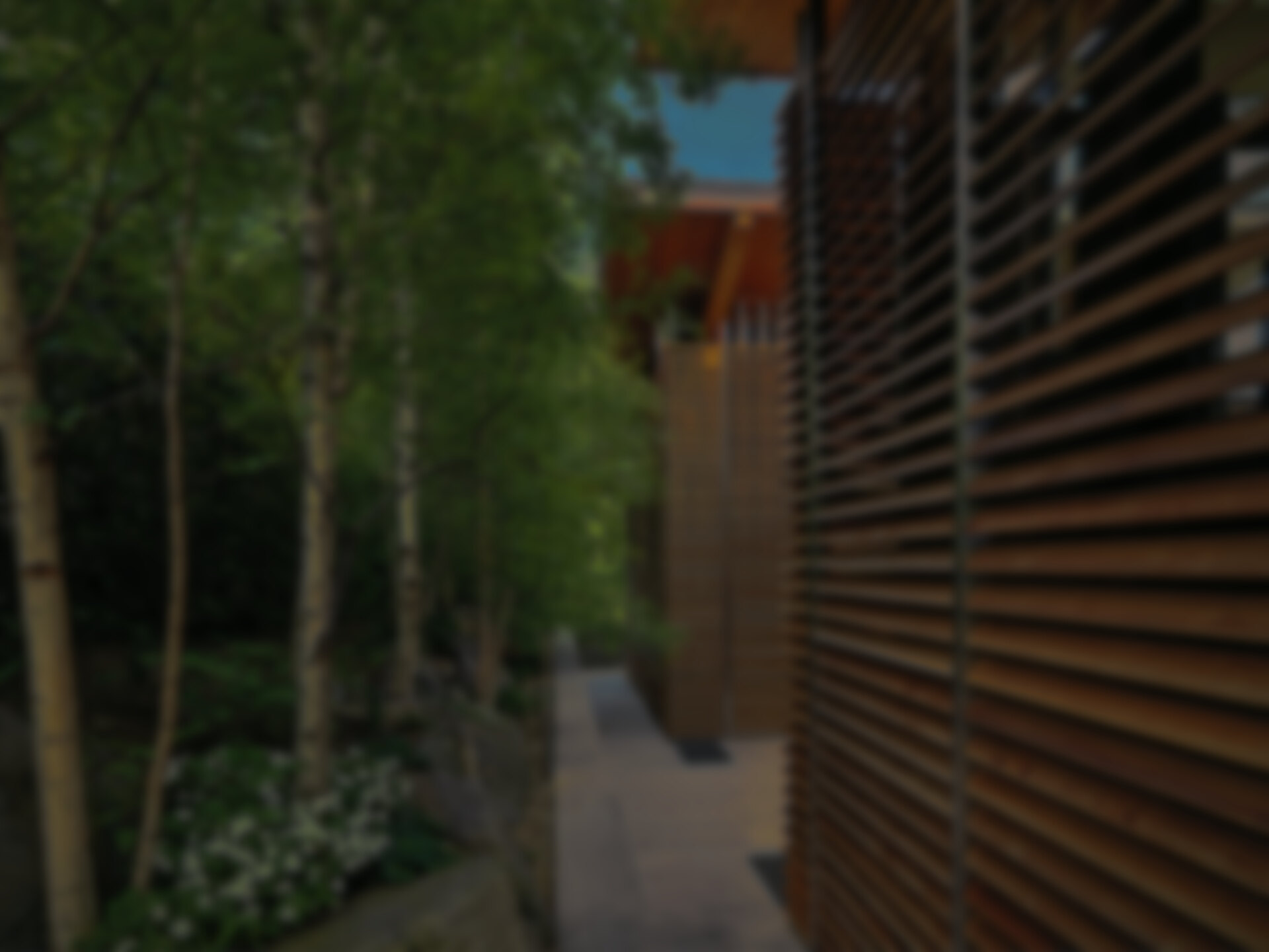 Blurred image