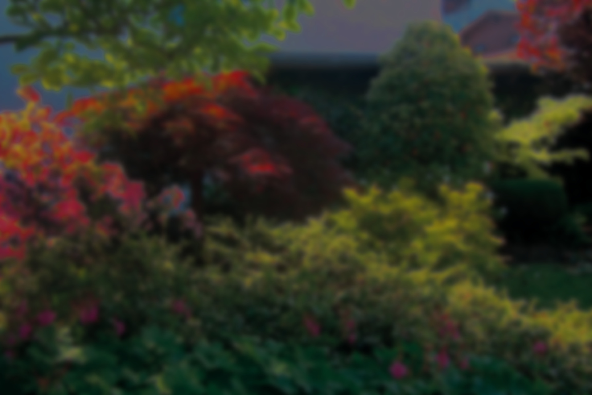 Blurred image